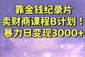 靠金钱纪录片卖财商课程B计划!暴力日变现3000+,喂饭式干货教程!