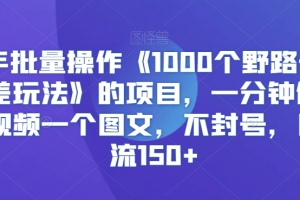 快手批量操作《1000个野路子信息差玩法》的项目,一分钟做一个视频一个图文,不封号,日引流150+