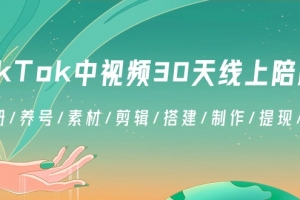 TikTok中视频30天线上陪跑班:注册/养号/素材/剪辑/搭建/制作/提现/等等