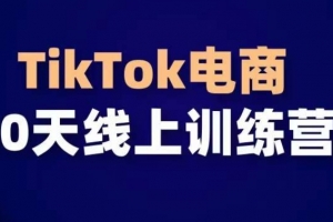 TikTok电商带货30天线上课,不可错过的全球流量洼地!