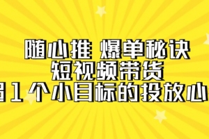随心推 爆单秘诀,短视频带货-超1个小目标的投放心得(7节视频课)