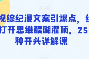 影视综纪漫文案引爆点,给你打开思维醍醐灌顶,255种开头详解课