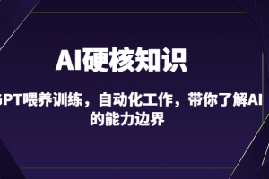AI硬核知识-GPT喂养训练,自动化工作,带你了解AI的能力边界(10节课)