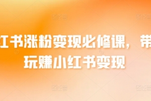 小红书涨粉变现必修课,带你玩赚小红书变现