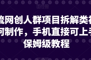 引流网创人群项目拆解类视频如何制作,手机直接可上手,保姆级教程