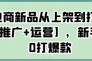 电商新品从上架到打爆【推广+运营】,新手从0打爆款