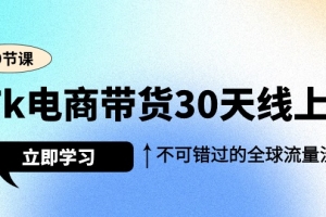 Tk电商带货30天线上课,不可错过的全球流量洼地(29节课)