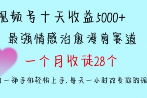 十天收益5000+,多平台捞金,视频号情感治愈漫剪,一个月收徒28个,小白一部手机轻松上手