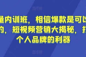 流量内训班,相信爆款是可以重复的,短视频营销大揭秘,打造个人品牌的利器