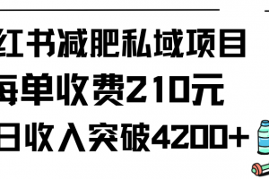 小红书减肥私域项目每单收费210元单日成交20单,最高日入4200+