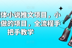 AI自媒体小说推文项目,小白也能做的项目,全流程手把手教学