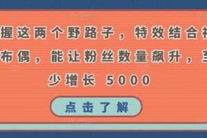 掌握这两个野路子,特效结合神奇布偶,能让粉丝数量飙升,至少增长 5000