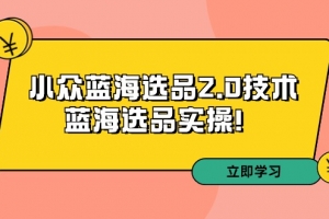 拼多多培训第33期:小众蓝海选品2.0技术-蓝海选品实操!