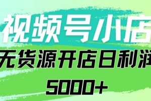 视频号无货源小店从0到1日订单量千单以上纯利润稳稳5000+