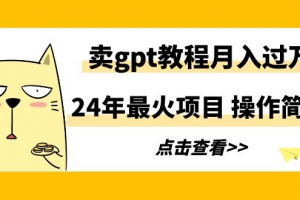 24年最火项目,卖gpt教程月入过万,操作简单
