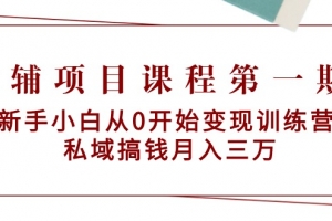 教辅项目课程第一期:新手小白从0开始变现训练营  私域搞钱月入三万