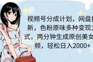 视频号分成计划,网盘拉新,色粉原味多种变现方式,两分钟生成原创美女…