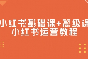 小红书基础课+高级课-小红书运营教程(53节视频课)