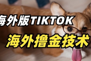 抖音海外版tiktok撸金技术,这个风口行业,赚钱真的不难