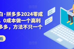 拼多多2024零成本包起,0成本做一个高利润的拼多多,方法不只一个