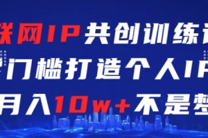 互联网IP共创训练课,零门槛零基础打造个人IP,月入10w+不是梦