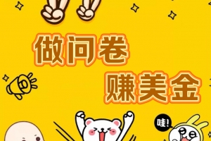 国外问卷调查小白家也可批量操作(口子查站点查渠道查)真正的长久稳定项目 日入1500+