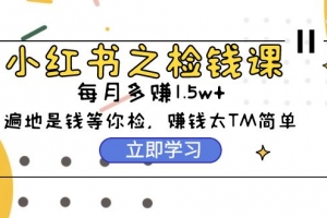 小红书之检钱课:从0开始实测每月多赚1.5w起步,赚钱真的太简单了(98节)