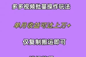 拼多多视频带货快速过爆款选品教程 每天轻轻松松赚取三位数佣金 小白必…