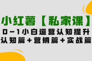 小红薯【私家课】0-1玩赚小红书内容营销,认知篇+营销篇+实战篇(11节课)
