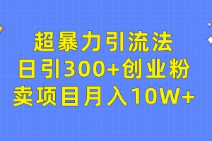 超暴力引流法,日引300+创业粉,卖项目月入10W+