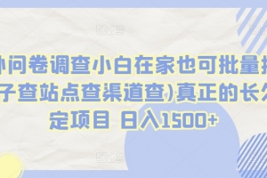 国外问卷调查小白在家也可批量操作(口子查站点查渠道查)真正的长久稳定项目 日入1500+