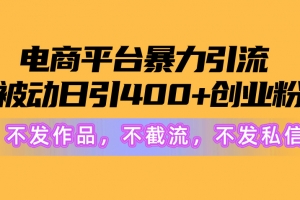 电商平台暴力引流,被动日引400+创业粉不发作品,不截流,不发私信