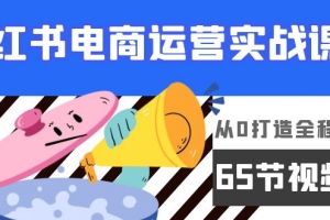 小红书电商运营实战课,从0打造全程实操(65节视频课)