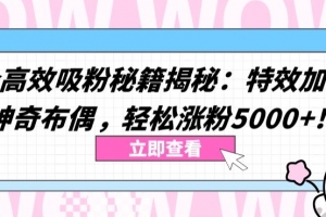 两个高效吸粉秘籍揭秘:特效加持与神奇布偶,轻松涨粉5000+