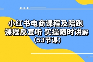 小红书电商课程及陪跑 课程反复听 实操随时讲解 (53节课)