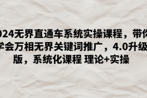2024无界直通车系统实操课程,带你学会万相无界关键词推广,4.0升级版,系统化课程 理论+实操
