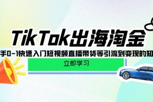 TikTok-出海淘金,新手0-1快速入门短视频直播带货等引流到变现的知识