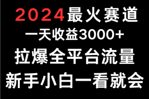 2024最火赛道,一天收一3000+.拉爆全平台流量,新手小白一看就会