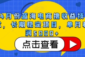 4月份蓝海电商撸收益技术,长期稳定项目,单月利润5000+