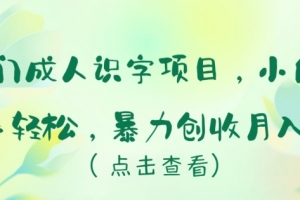 冷门成人识字项目,小白上手轻松,暴力创收月入5w+