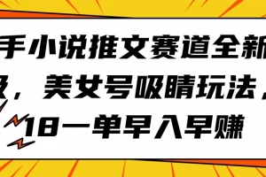 快手小说推文赛道全新升级,美女号吸睛玩法,18一单早入早赚