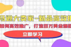亚马逊大卖家新品高效推广,分享如何高效推广,打造百万美金爆款单品