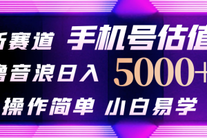 抖音不出境直播【手机号估值】最新撸音浪,日入5000+,简单易学,适合…
