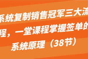 系统复制销售冠军三大流程,一堂课程掌握签单的系统原理(38节)