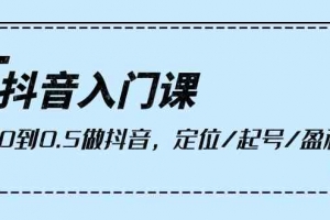 抖音入门课,从0到1做抖音,定位/起号/盈利(9节课)