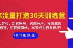 实体-流量打造-30天训练营:个人定位,对标账号,选题分析,投流解读-70节