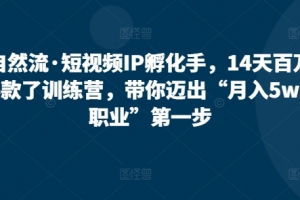 自然流·短视频IP孵化手,14天百万爆款了训练营,带你迈出“月入5w新职业”第一步