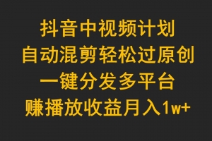 抖音中视频计划,自动混剪轻松过原创,一键分发多平台赚播放收益,月入1w+