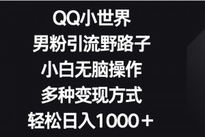 QQ小世界男粉引流野路子,小白无脑操作,多种变现方式轻松日入1000+