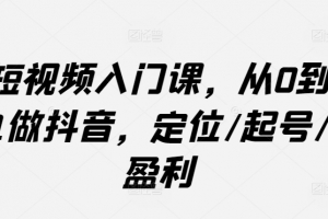 短视频入门课,从0到1做抖音,定位/起号/盈利